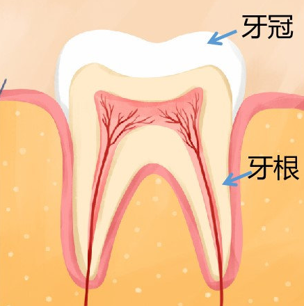 微信图片_20230118145049